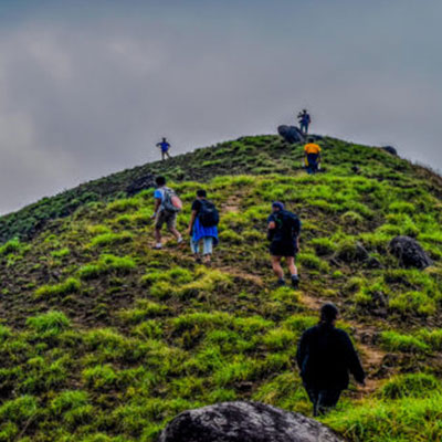 Orion Nest Stay Coorg