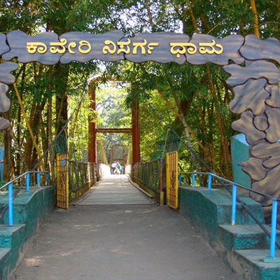 Orion Nest Stay Coorg